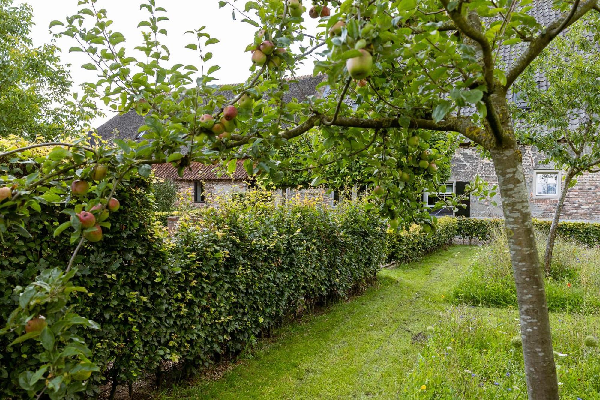 Den Eijngel Bed And Breakfast Boxtel Bagian luar foto
